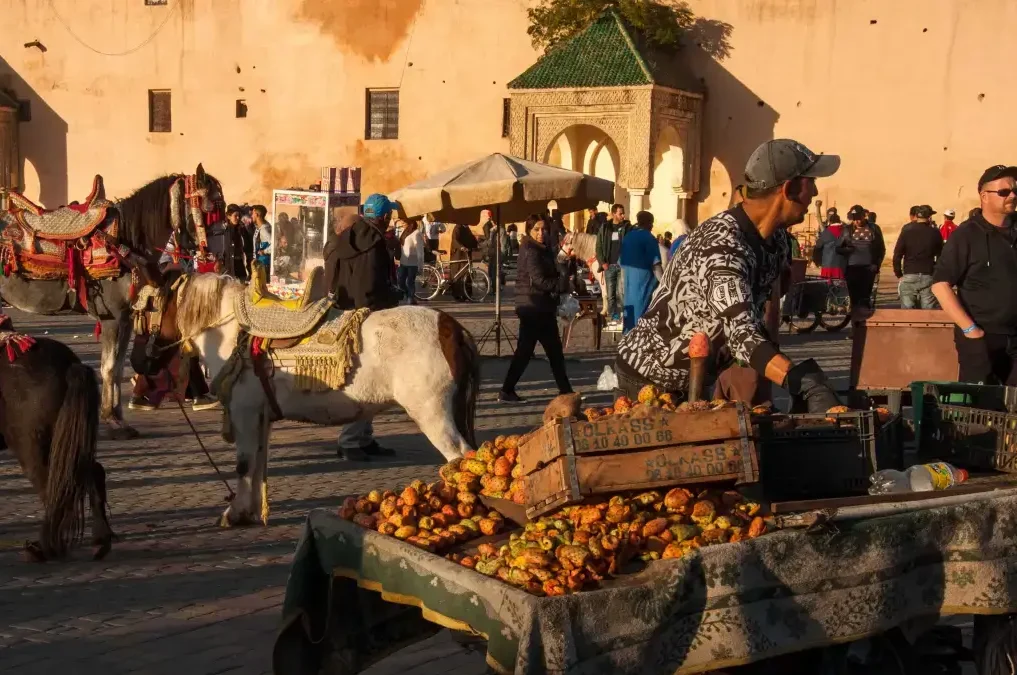 Panoramic View of Meknes Medina, Morocco - Ancient City and Cultural Heritage